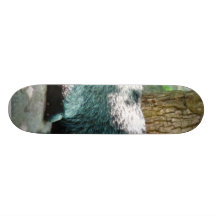 Gullig getunge skate boards