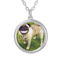 gullig hundleendemops skräddarsydda halsband