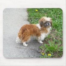 Gullig hundmousepad musmatta