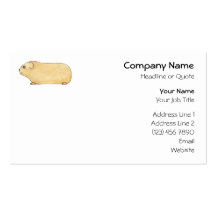 Gullig kräm- Guinea Pig. Visit Kort