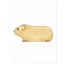 Gullig kräm- Guinea Pig. Vykort