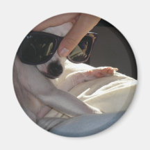 Gullig liten hundmagnet magneter för kylskåp