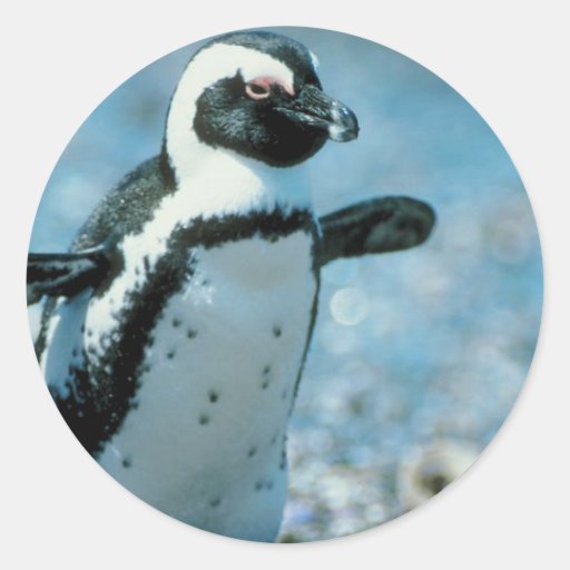 Gullig pingvin klistermärken