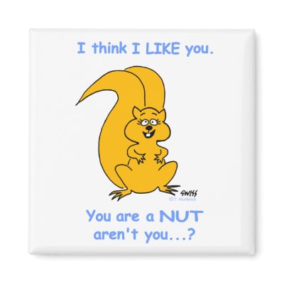 Gullig rolig ekorrekylmagnet från FUNNY_FRIDGE_MAGNETS