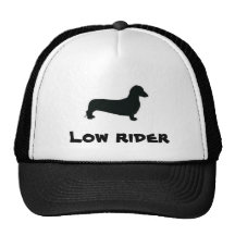 gullig rolig hatt trucker kepsar
