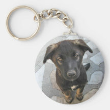 Gullig svart hundkeychain nyckel ringar