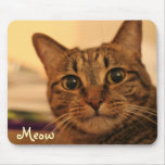 Gullig tabby kattansiktemousepad mus matta