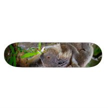 Gulliga Koalas Skateboard