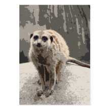 Gulliga nyfikna Meerkat Visitkort Mall