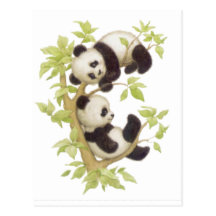 Gulliga Pandas Vykort