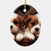 Gulliga valpar jul dekorationer