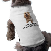 Gulligt älsklings- bekläda för Yorkshire Terrier s Hund T-shirt