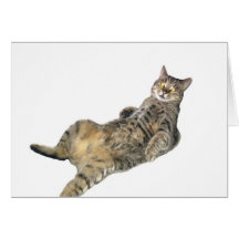 Gulligt kattkort