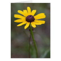 Gult blommahälsningkort