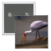 Gult-fakturerad Stork Knapp