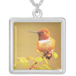 Gult Hummingbirdsilverhänge Personliga Halsband