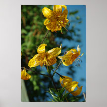 Gult liljatryck print