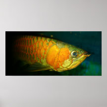 Gurami Print