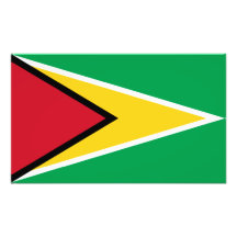 Guyana - Guyanese flagga Foton