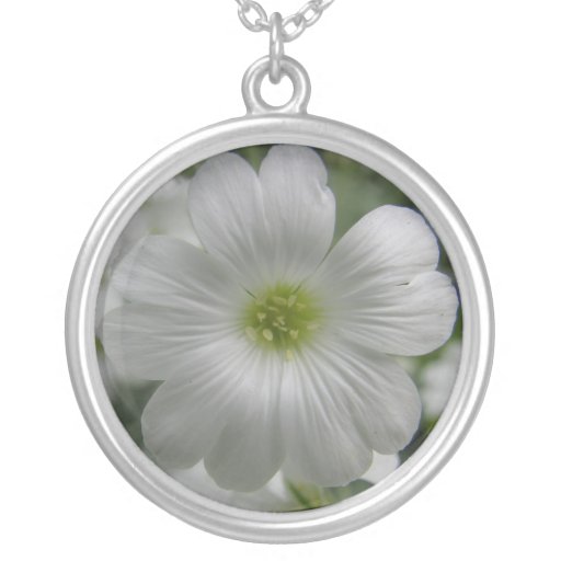 Gypsophilia halsband