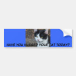 HA DIG KRAMAD DIN KATT I DAG? BILDEKAL