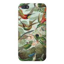 Haeckel Hummingbirds