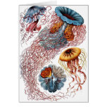 Haeckel manet