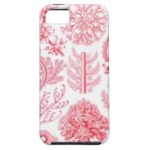 Haeckel rosor iPhone 5 cover