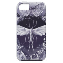 Haeckel Tineida iPhone 5 Cases