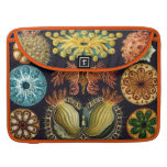 Haeckel vatten- marin- liv sleeves för MacBook pro