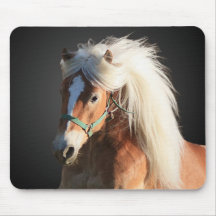 Haflinger häst mus matta
