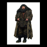 Hagrid affischer