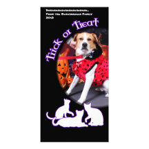 Halloween - Beagle Labrador X - Jacob Hälsningskort Med Foto