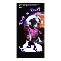 Halloween - Boston Terrier - Georgia Foto Kort