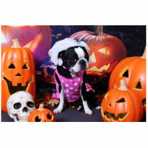 Halloween - Boston Terrier - Georgia Photo Cutouts