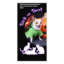 Halloween - Chihuahua - Gizmo Skräddarsydda Fotokort