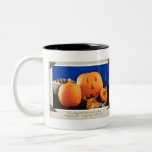 Halloween Kaffe Koppar