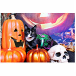 Halloween - katt - daisy photo cutouts