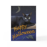 Halloween kattkort