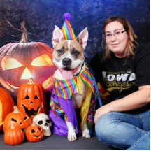 Halloween - Pitbull - Tyson Photo Sculptures