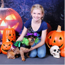 Halloween - YorkiePekeX - Clara Cut Outs