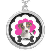 Halsband för anpassadefotohund halsband