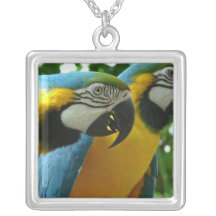 Halsband för blått- och guldMacawssterling silver