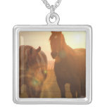 Halsband för solnedgånghäststerling silver