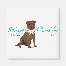 Hälsningar för födelsedag för Labrador Retriever Magnet För Kylskåp