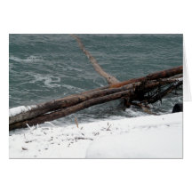 Hälsningkort för Driftwood 8