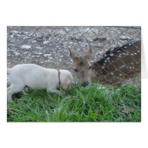 Hälsningkort; Valp och Bambi