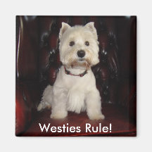 Hamish McTavish Westies härskar kylmagneten Magneter
