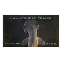 HammerheadhajFlorida visitkort