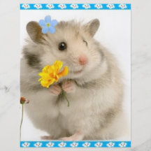 hamster flyg blad